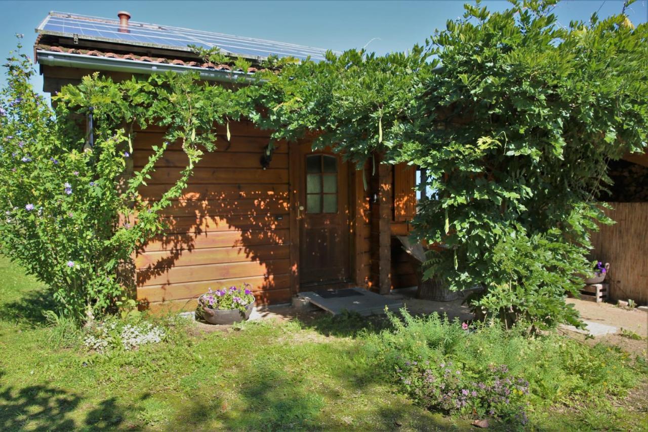 Norwegisches Blockhaus Villa Bad Muenstereifel Exterior photo
